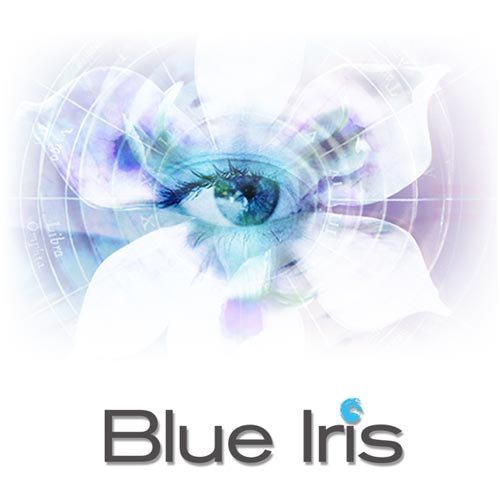 Blue Iris 5.1 Crack + Keygen 2020 License Key Free Download